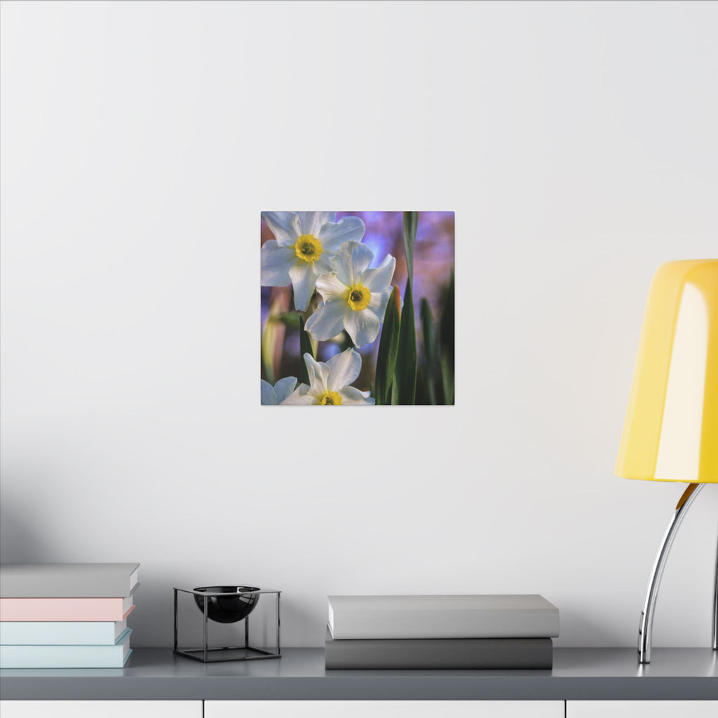 Daffodil Floral Canvas