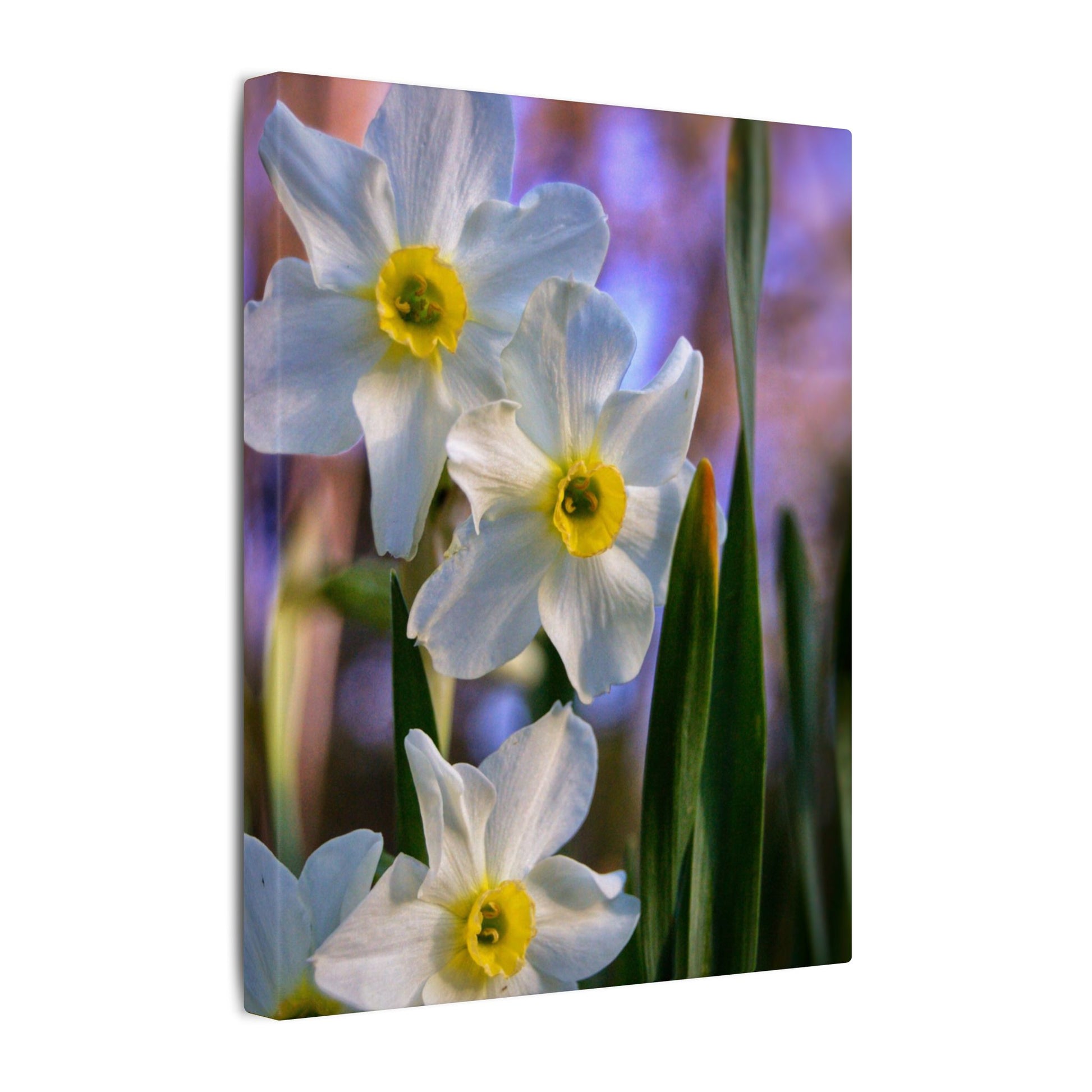 Daffodil Floral Canvas