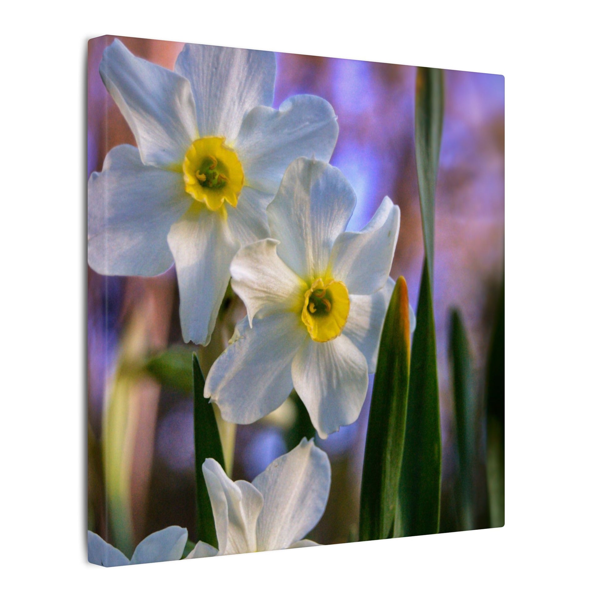 Daffodil Floral Canvas