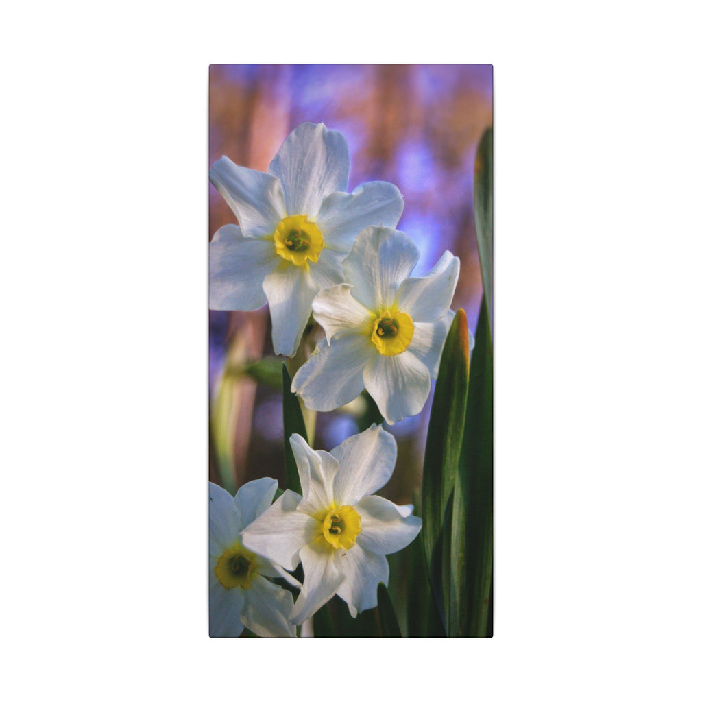 Daffodil Floral Canvas