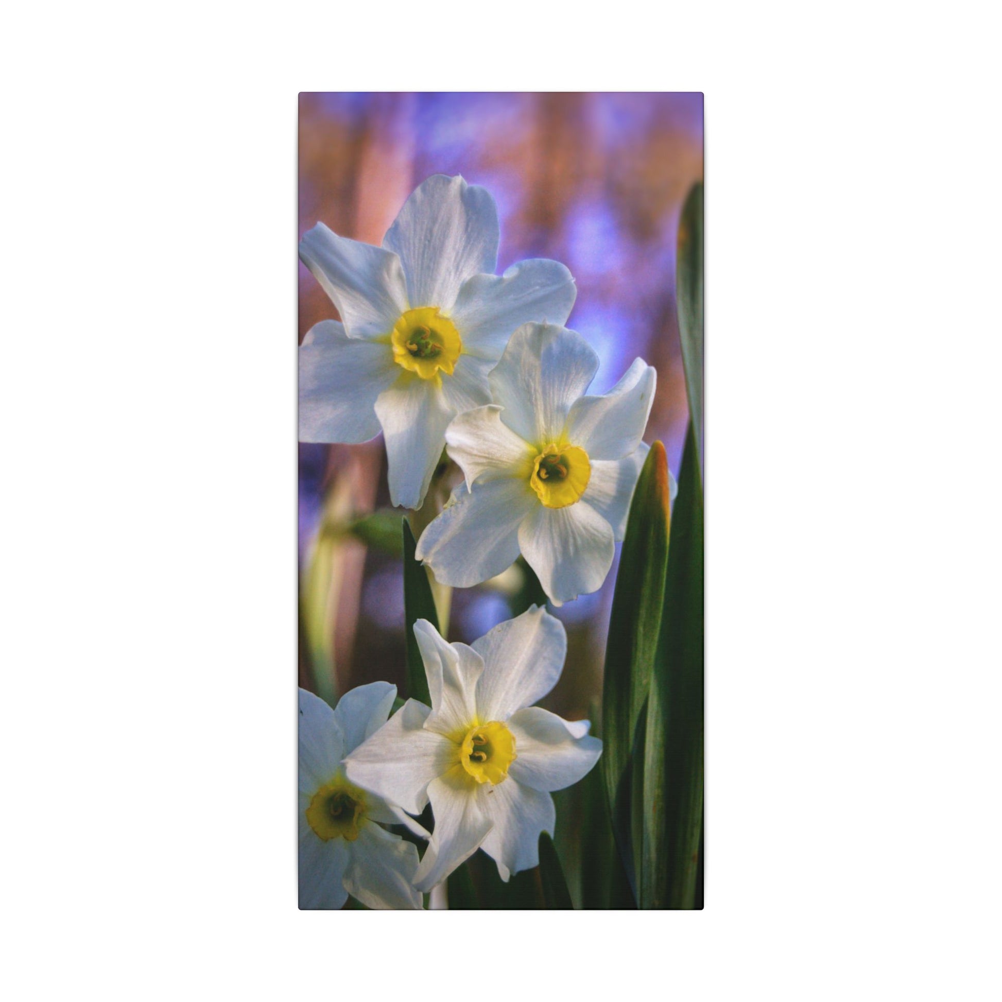 Daffodil Floral Canvas