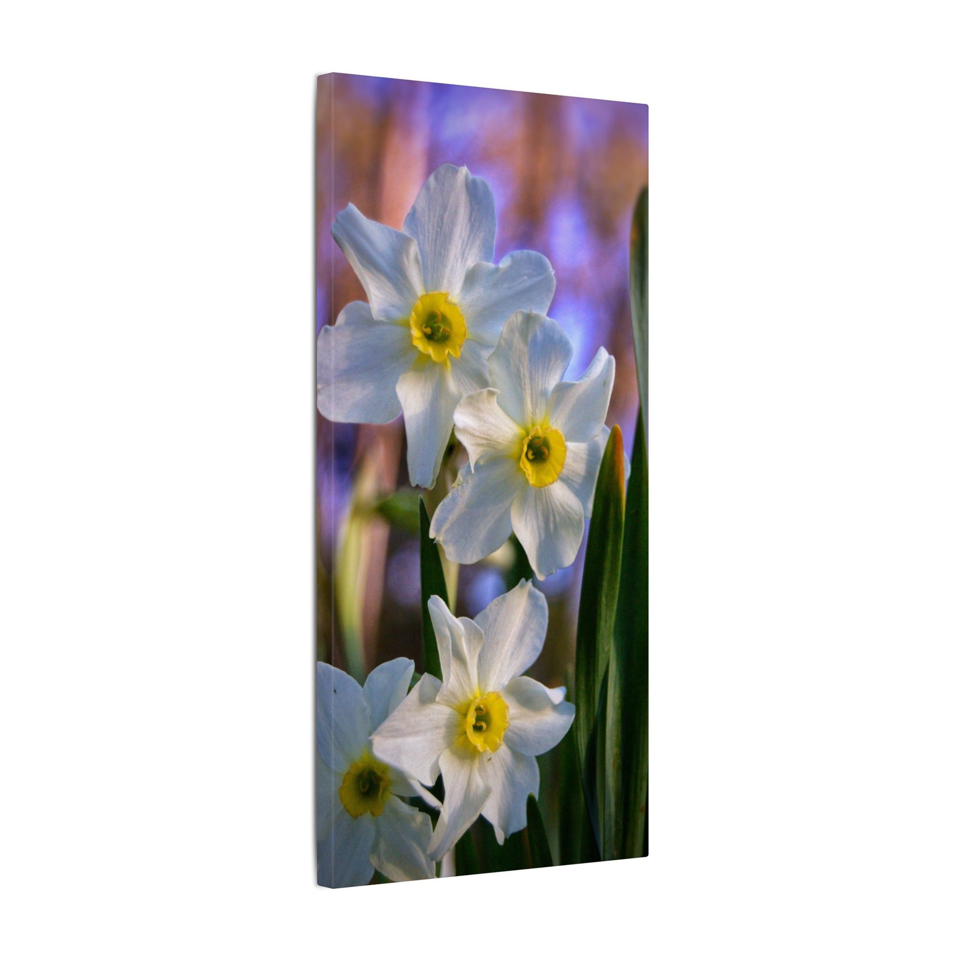 Daffodil Floral Canvas
