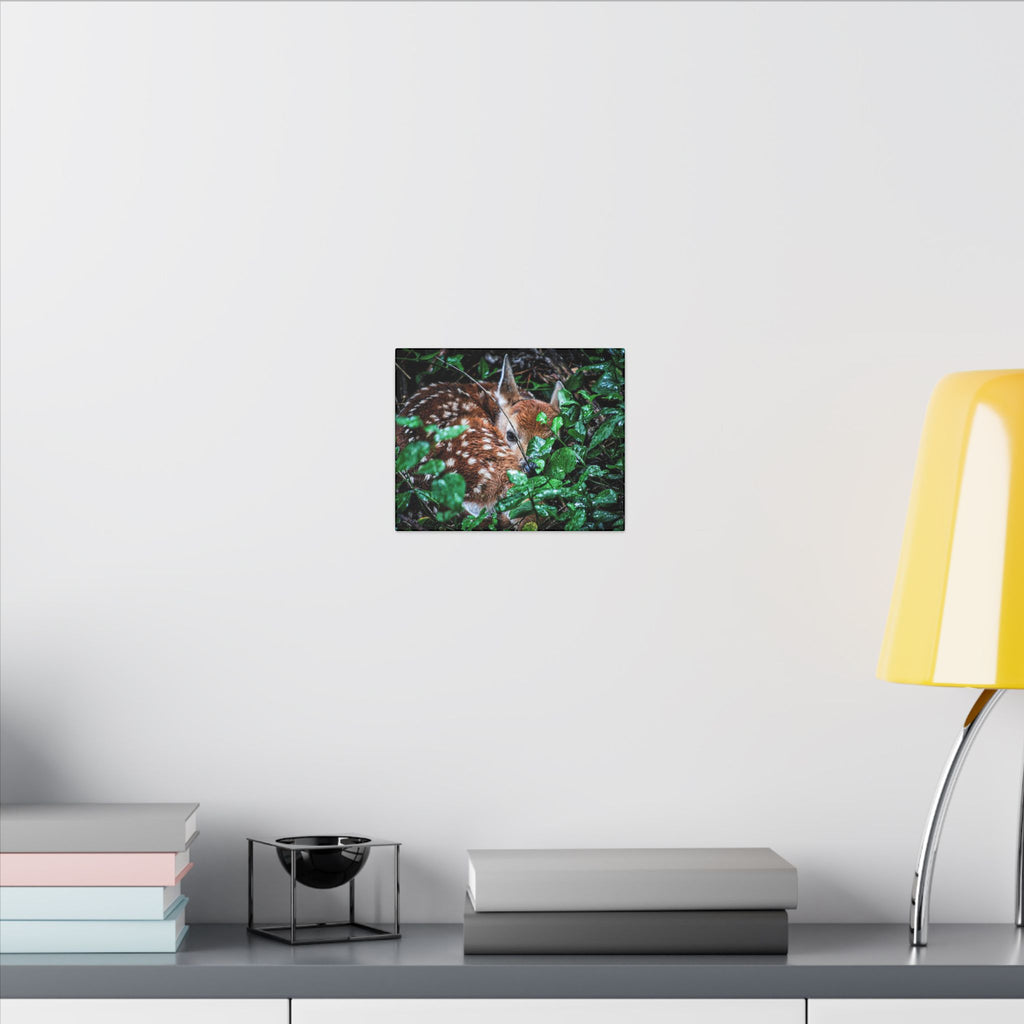 Sweet Dreams Faewood Fawn Stretched Canvas
