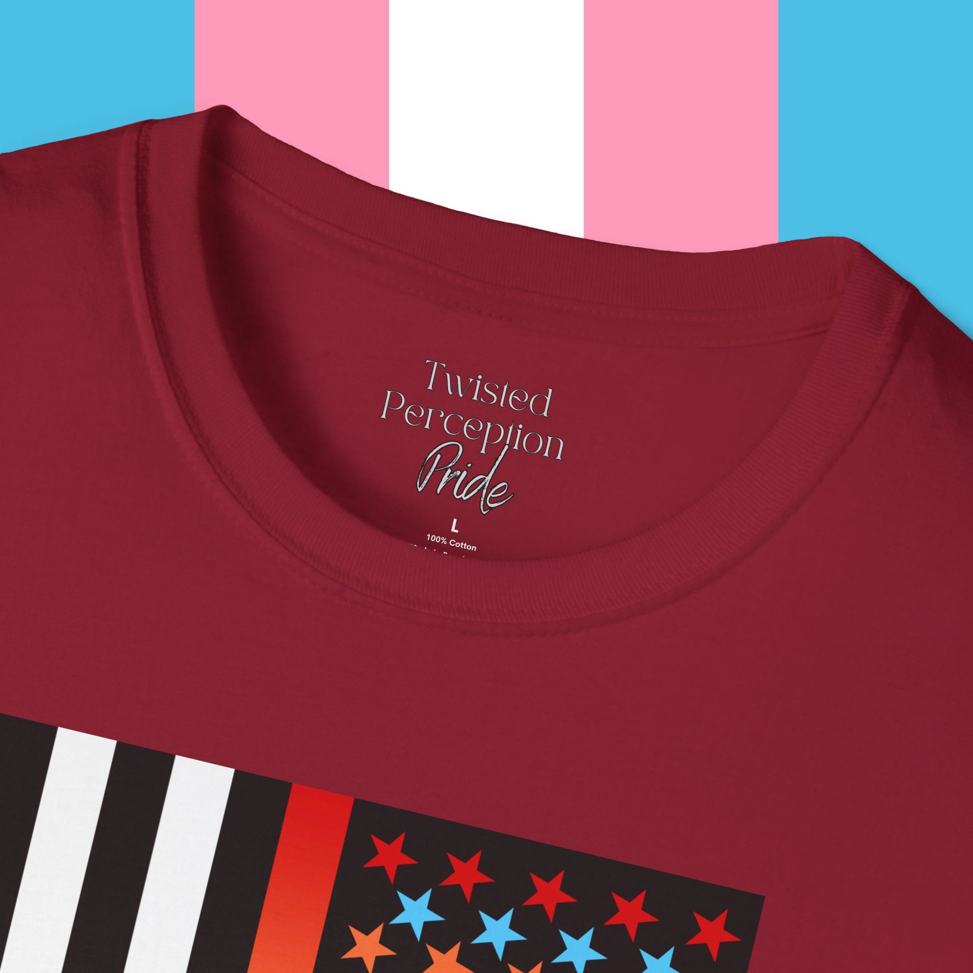 Thin Queer Line Pride Flag Unisex Softstyle T-shirt