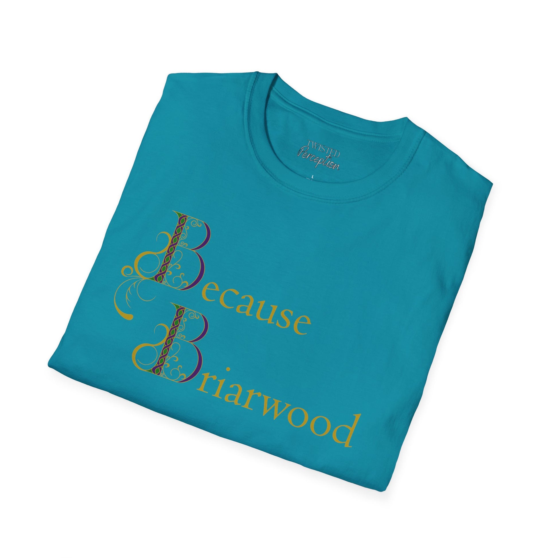 Because Briarwood  Softstyle T-Shirt