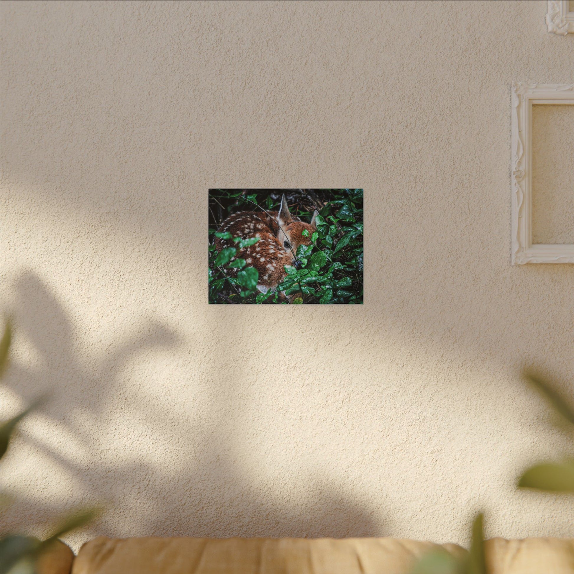 Sweet Dreams Faewood Fawn Stretched Canvas