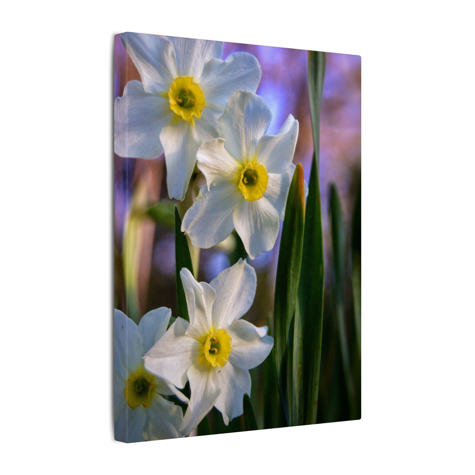 Daffodil Floral Canvas