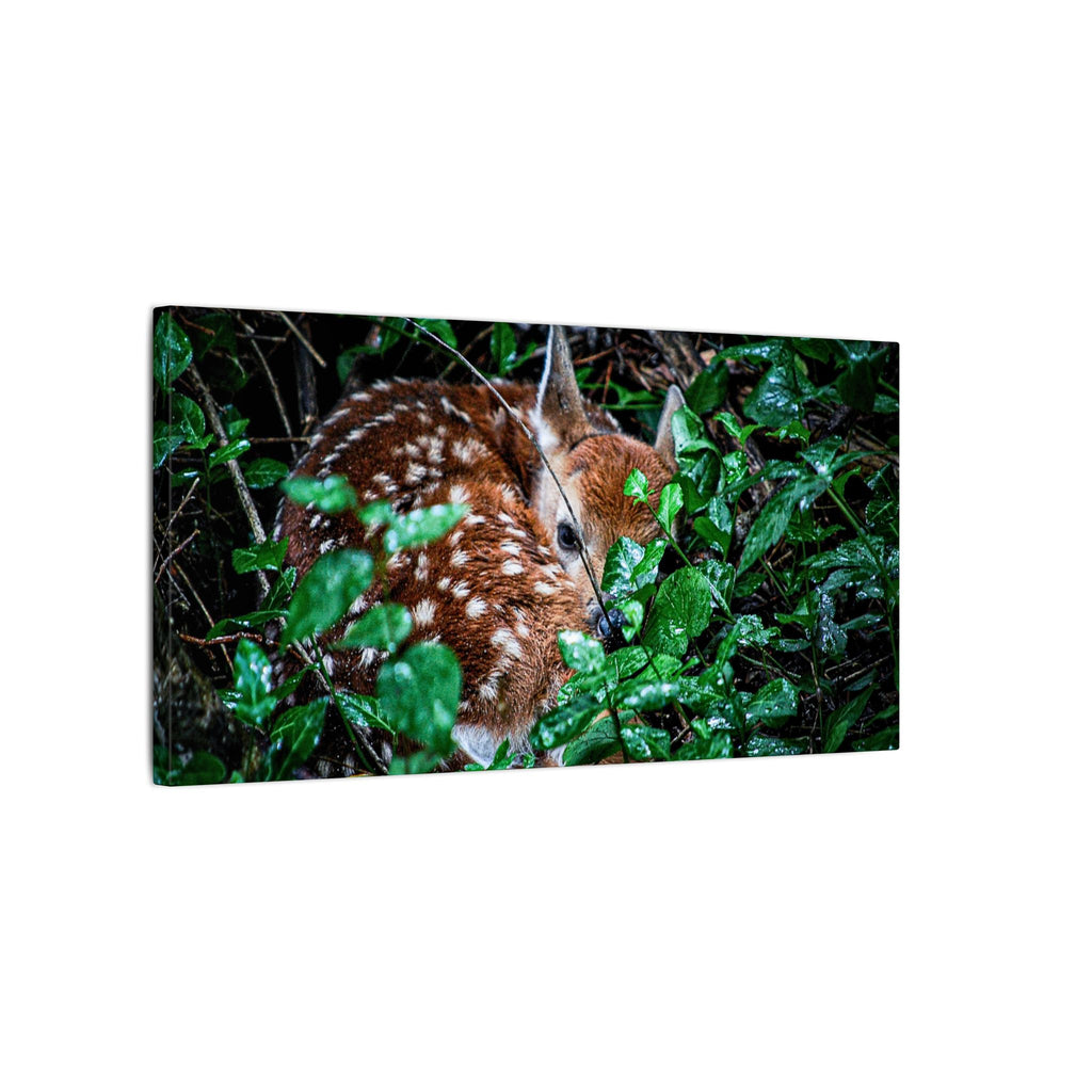 Sweet Dreams Faewood Fawn Stretched Canvas
