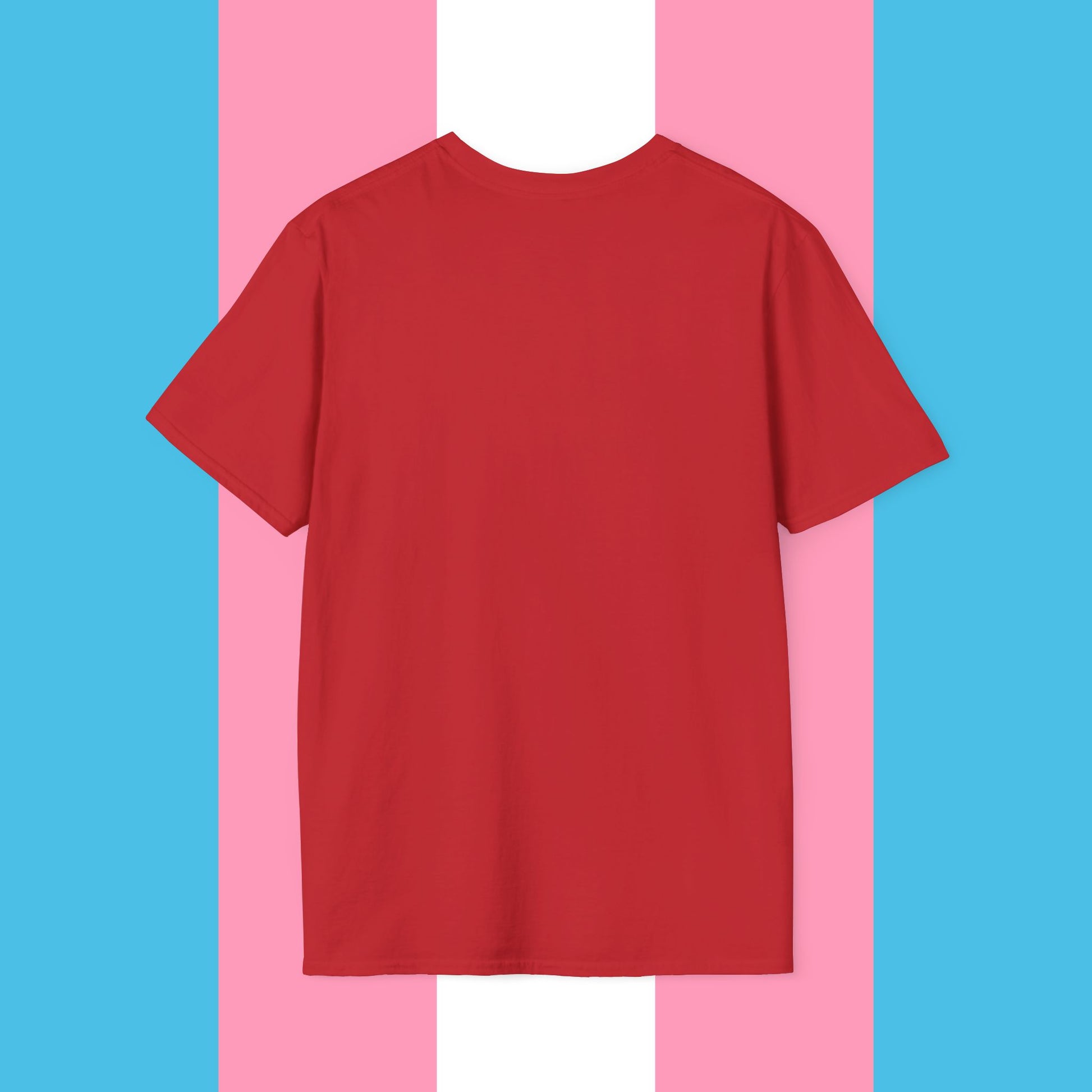 Never Again Bold Letters Gender Neutral Softstyle T-Shirt