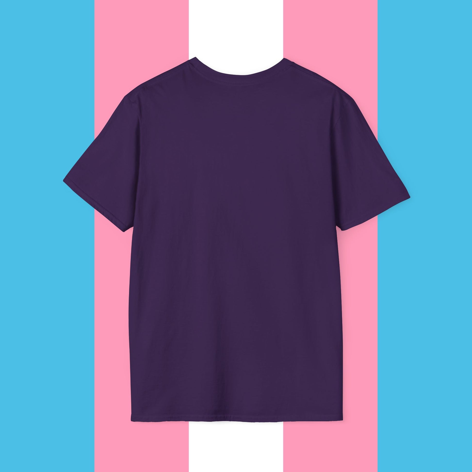 Can't Spell Stonewall Gender Neutral Softstyle T-shirt