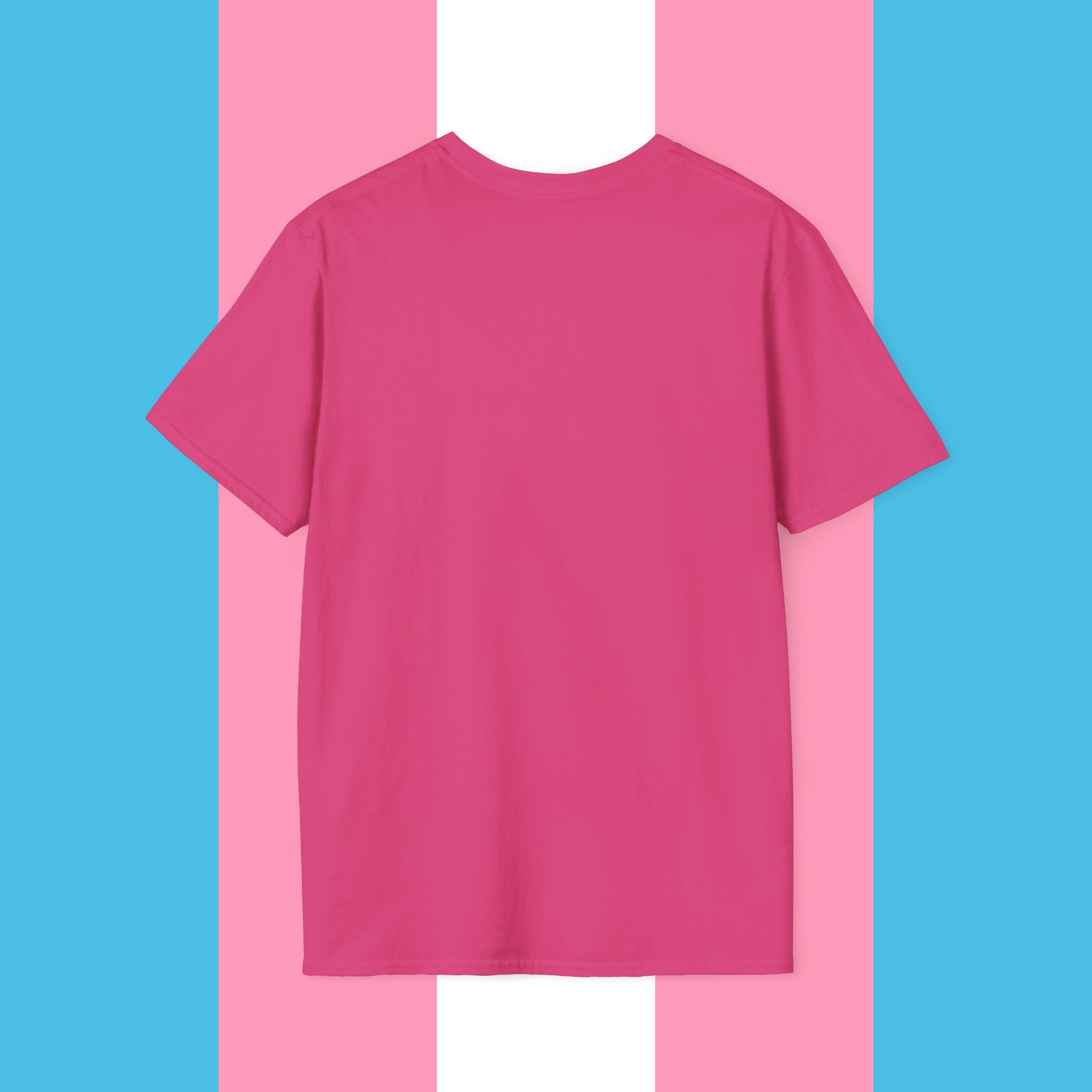 Never Again Bold Letters Gender Neutral Softstyle T-Shirt