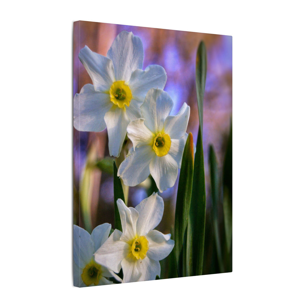 Daffodil Floral Canvas