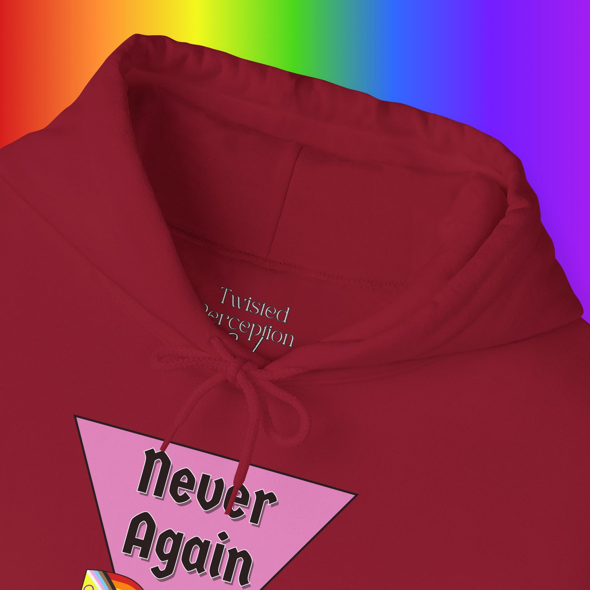 Never Again Heavy Blend Hoodie