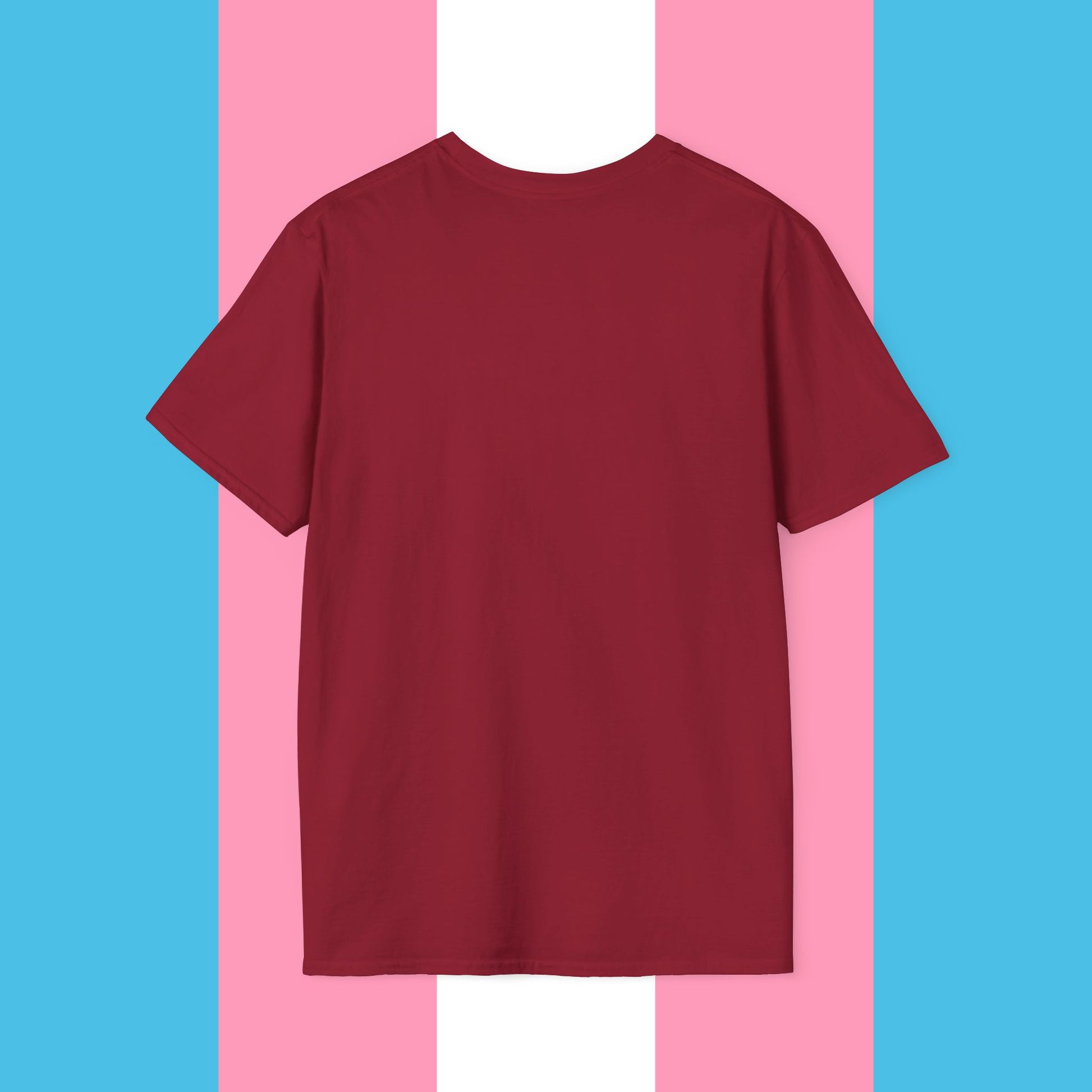 Never Again Bold Letters Gender Neutral Softstyle T-Shirt