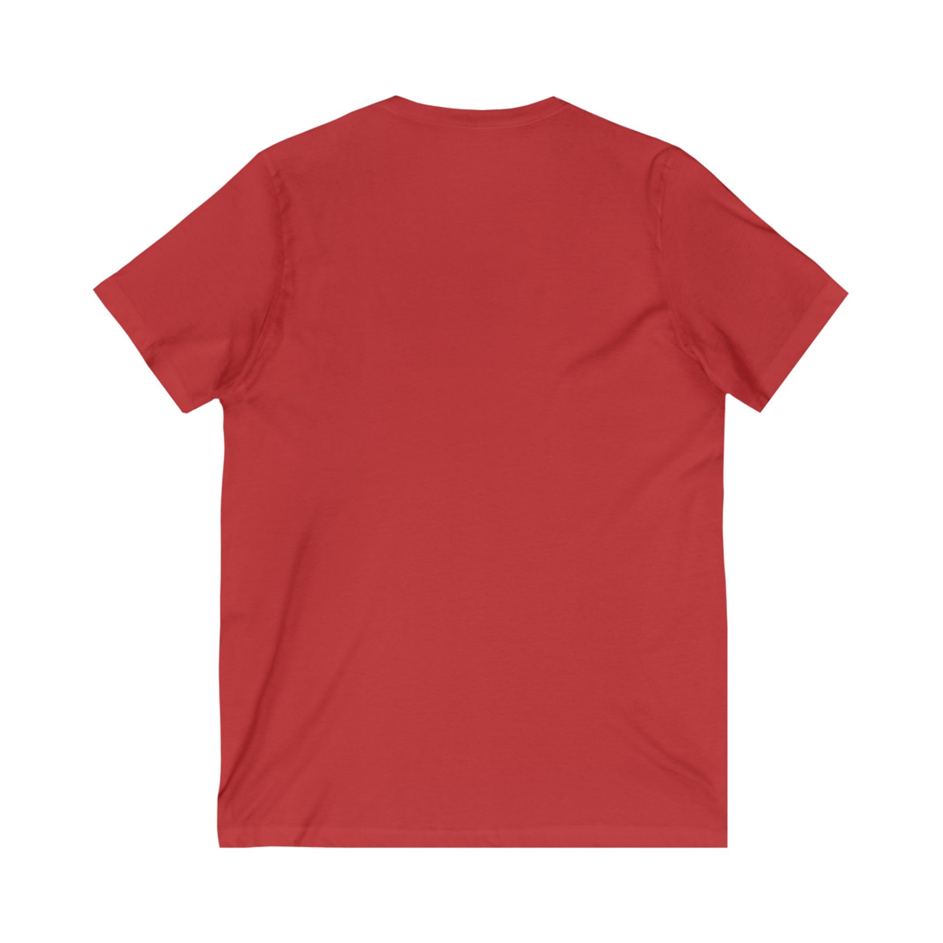 Remind Them Stonewall Inspired V-Neck T-shirt