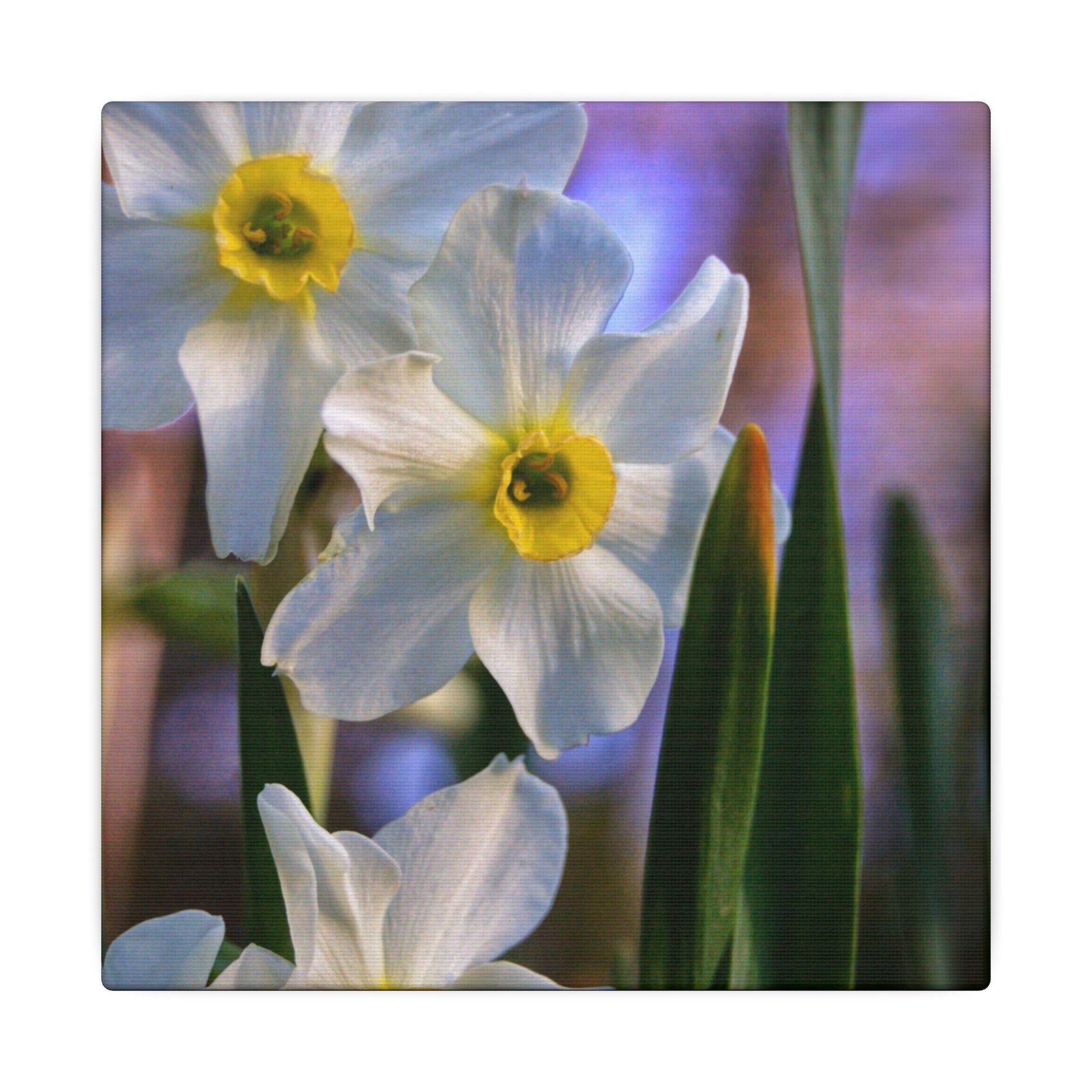 Daffodil Floral Canvas