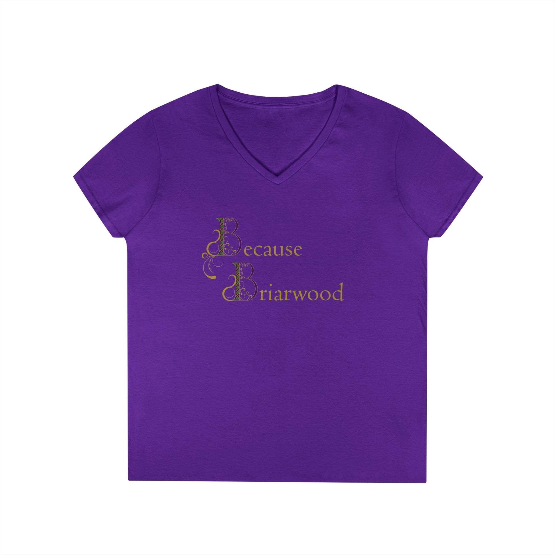 Because Briarwood Fem Cut V-Neck T-Shirt
