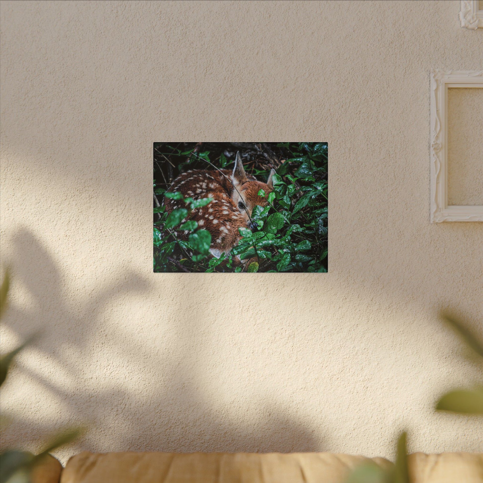 Sweet Dreams Faewood Fawn Stretched Canvas