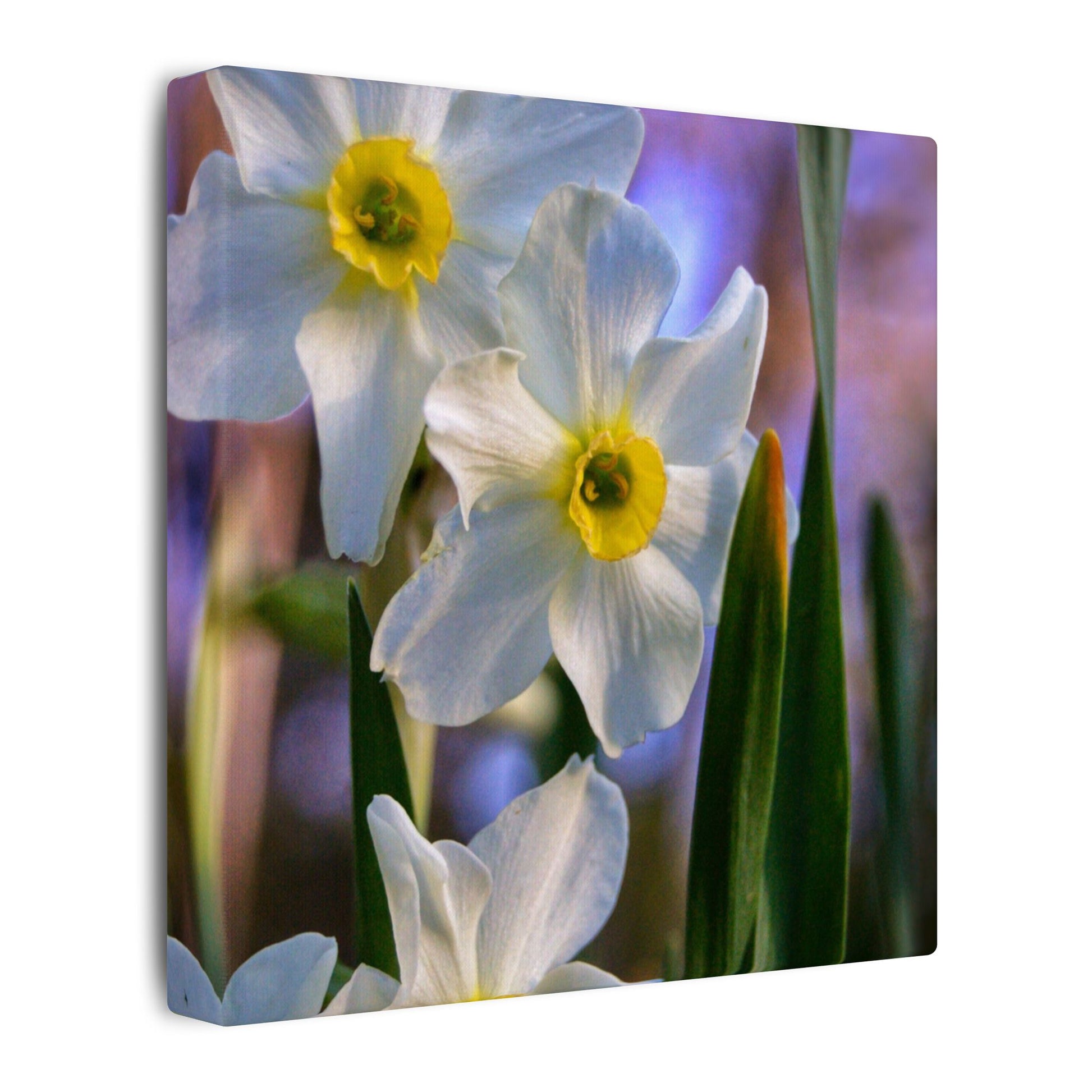 Daffodil Floral Canvas