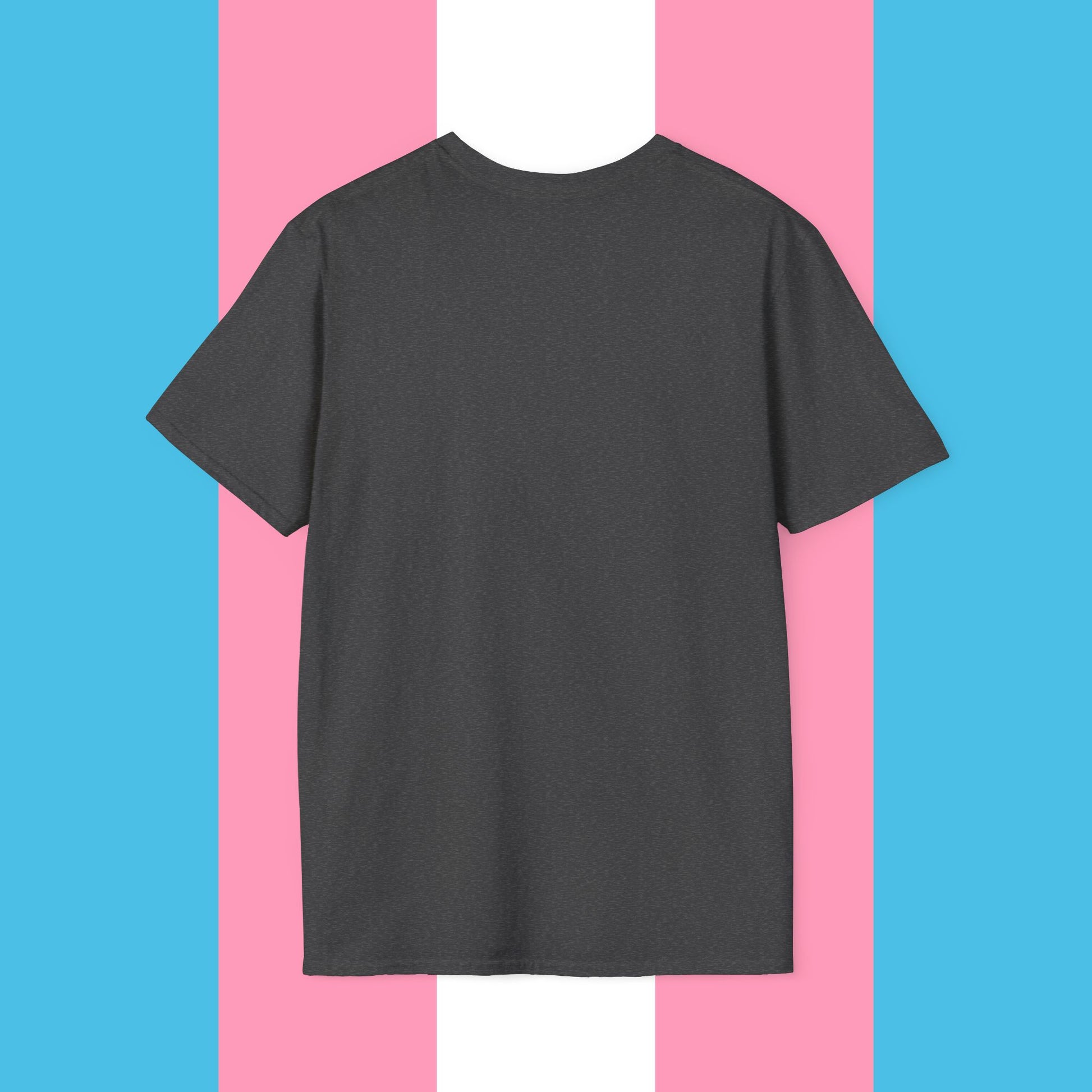 Can't Spell Stonewall Gender Neutral Softstyle T-shirt
