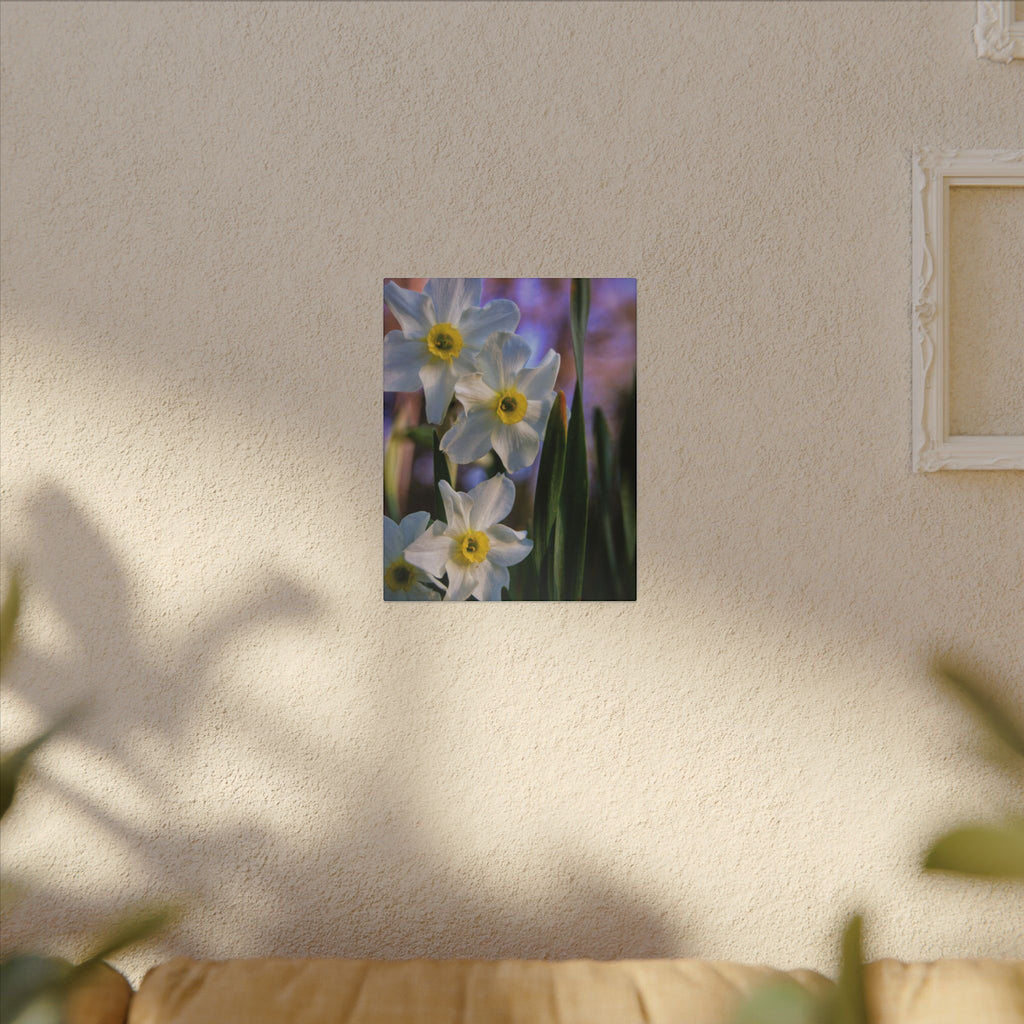 Daffodil Floral Canvas