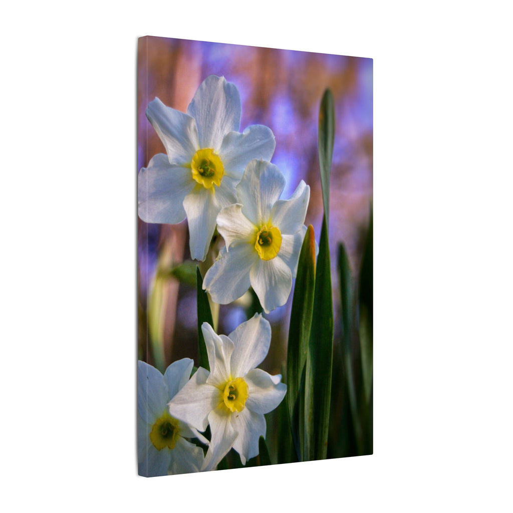 Daffodil Floral Canvas