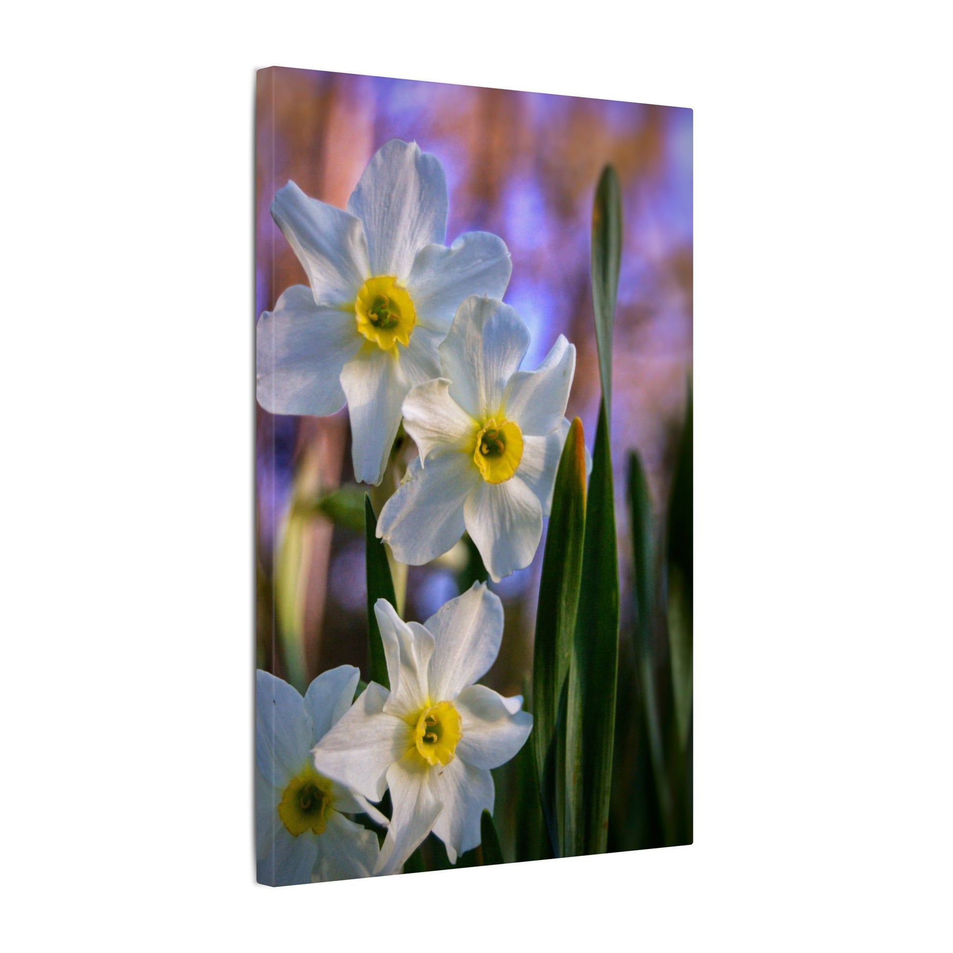 Daffodil Floral Canvas