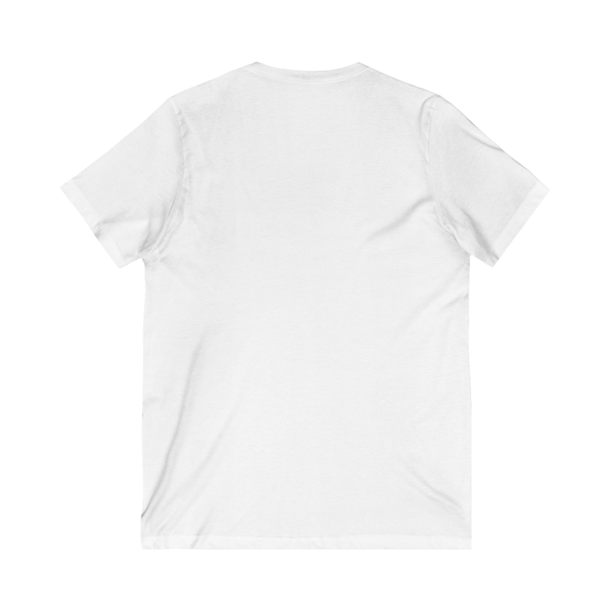 Thin Queer Line American Flag V-Neck T-shirt