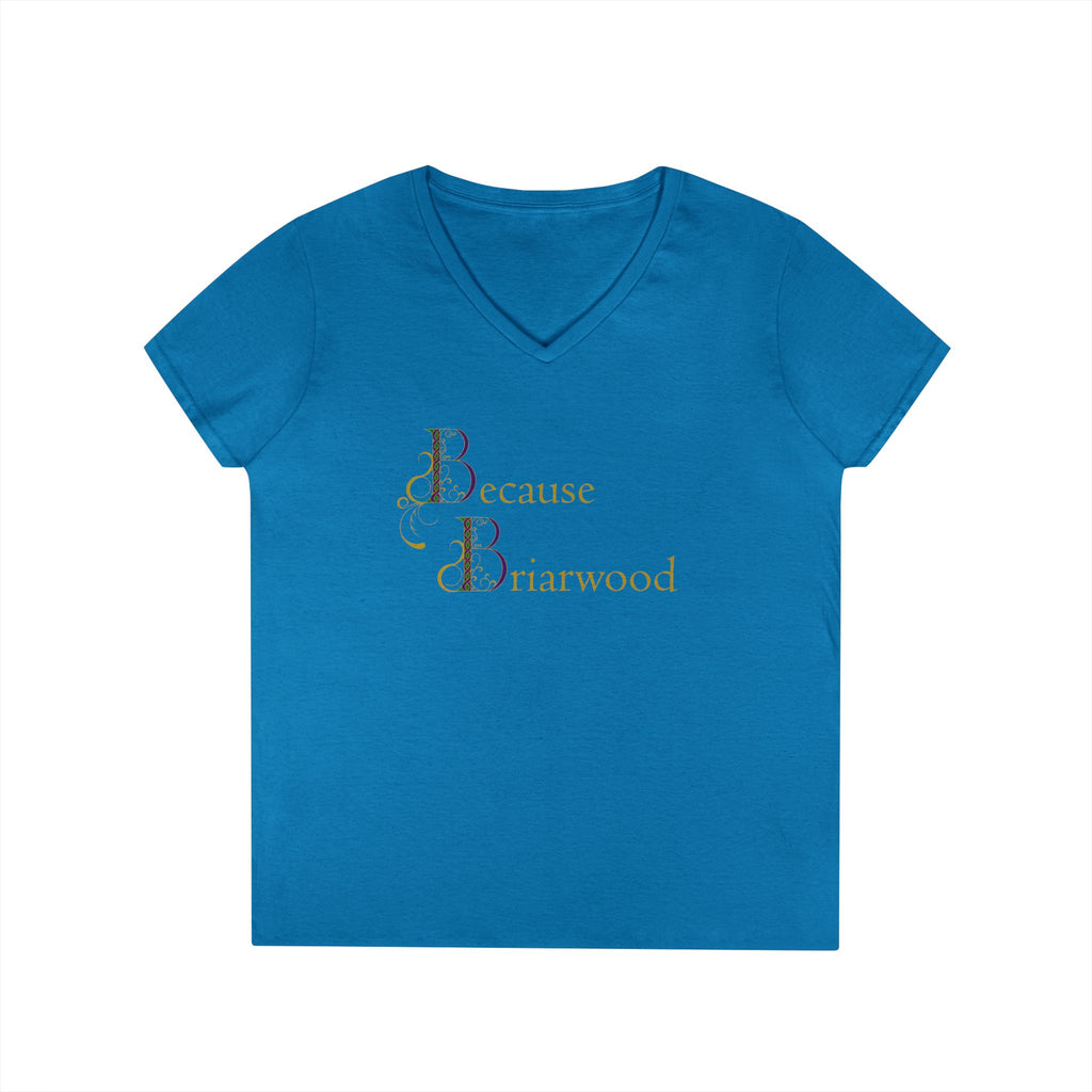Because Briarwood Fem Cut V-Neck T-Shirt