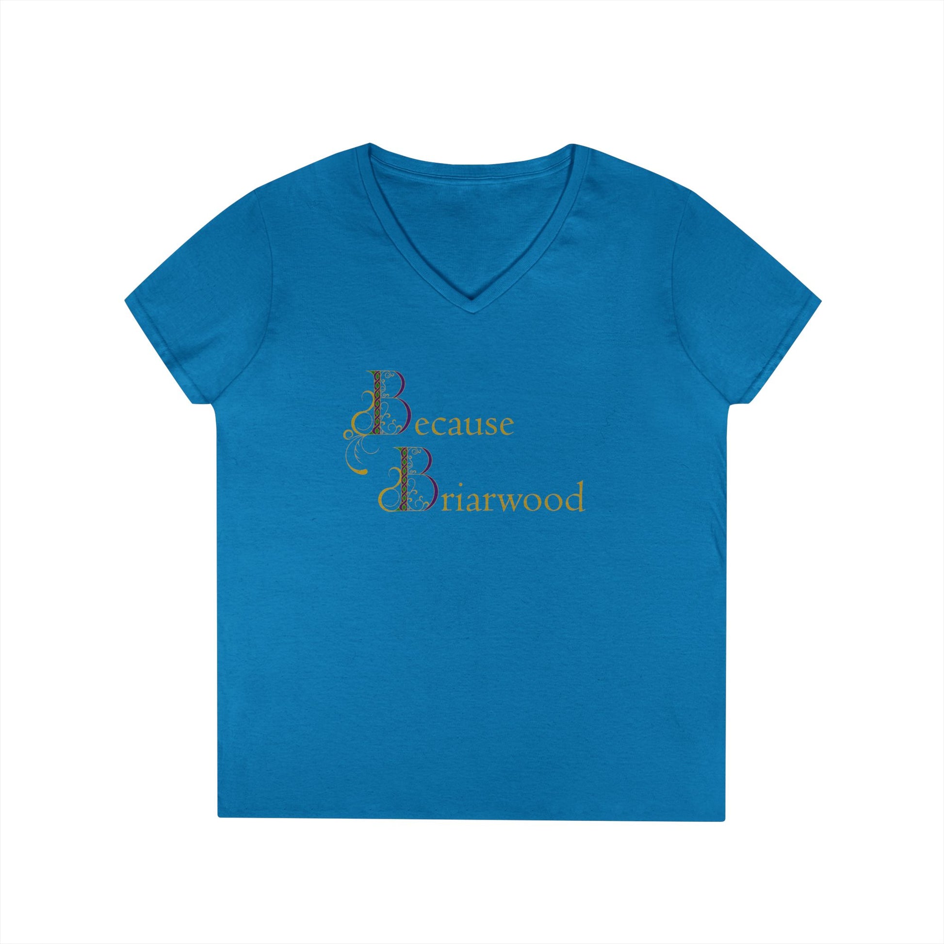 Because Briarwood Fem Cut V-Neck T-Shirt