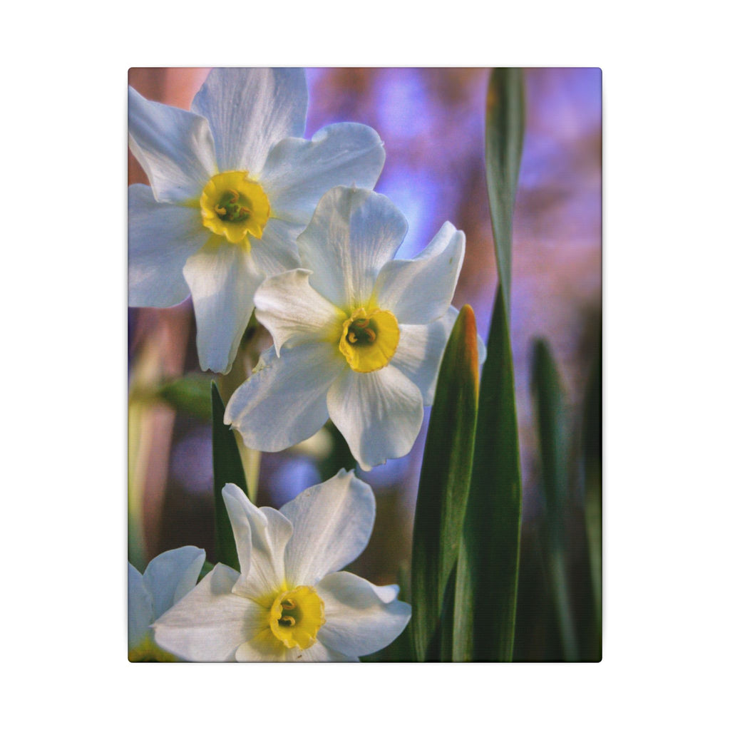 Daffodil Floral Canvas