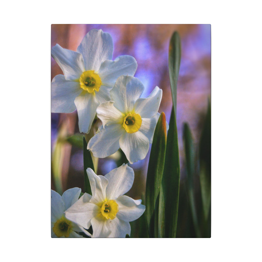 Daffodil Floral Canvas
