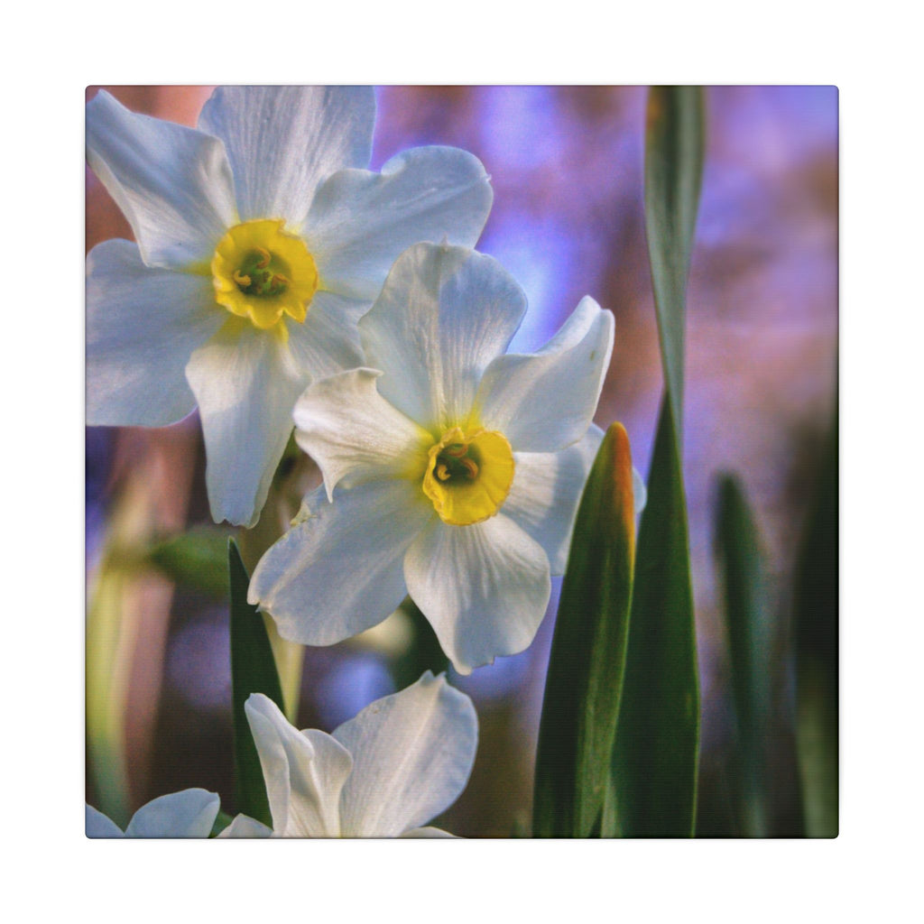 Daffodil Floral Canvas
