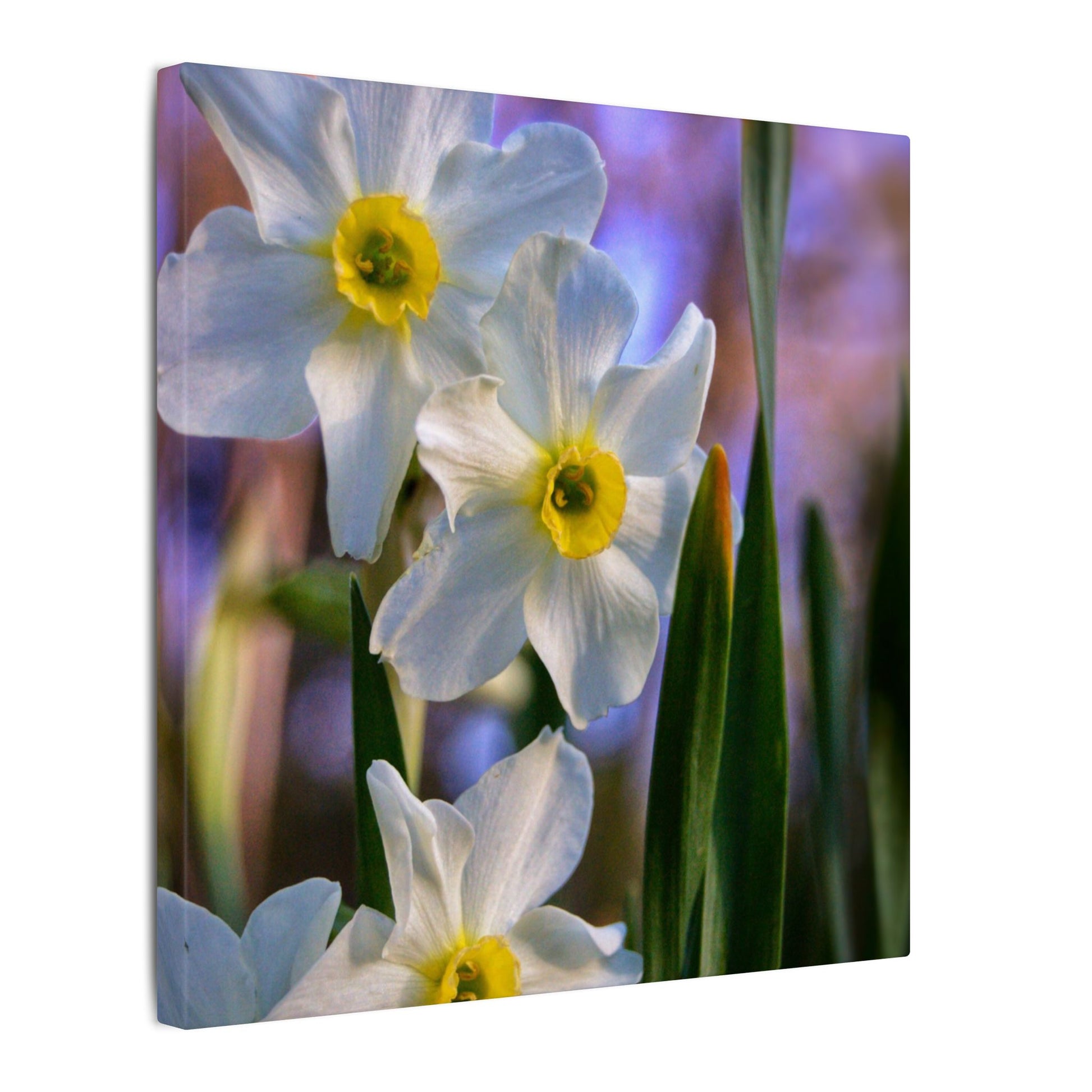 Daffodil Floral Canvas