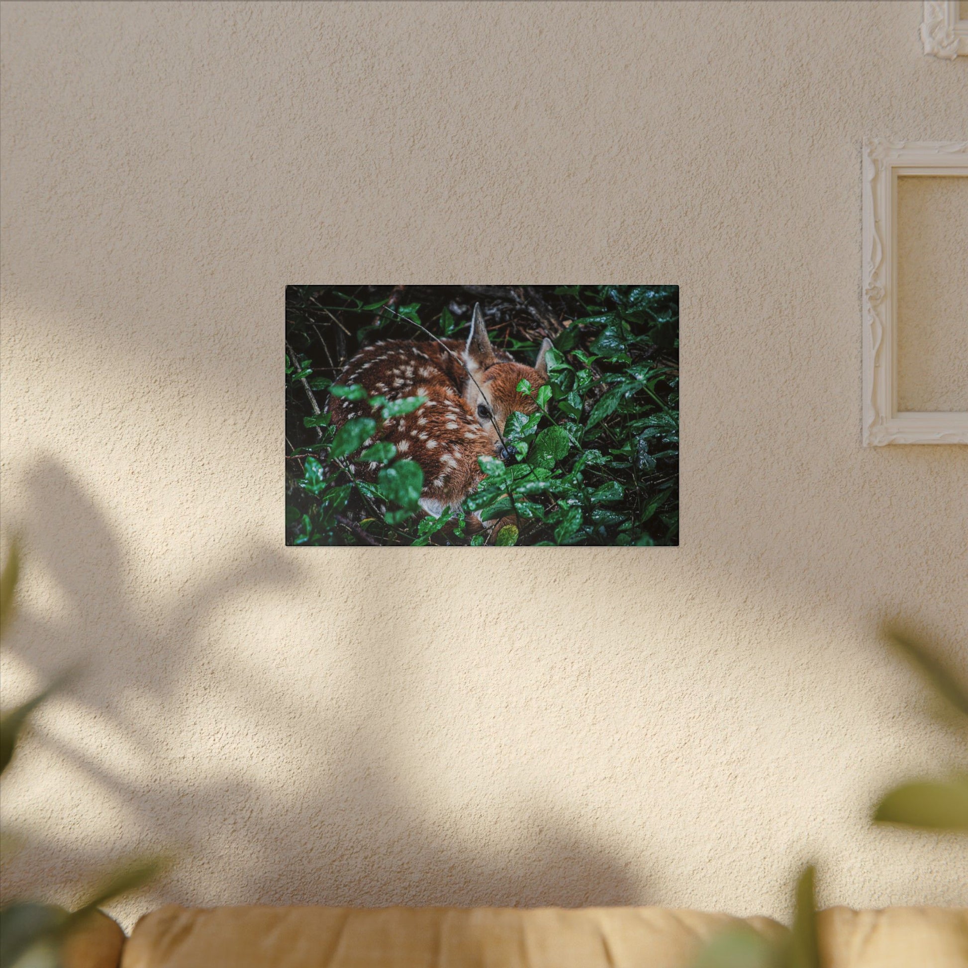 Sweet Dreams Faewood Fawn Stretched Canvas