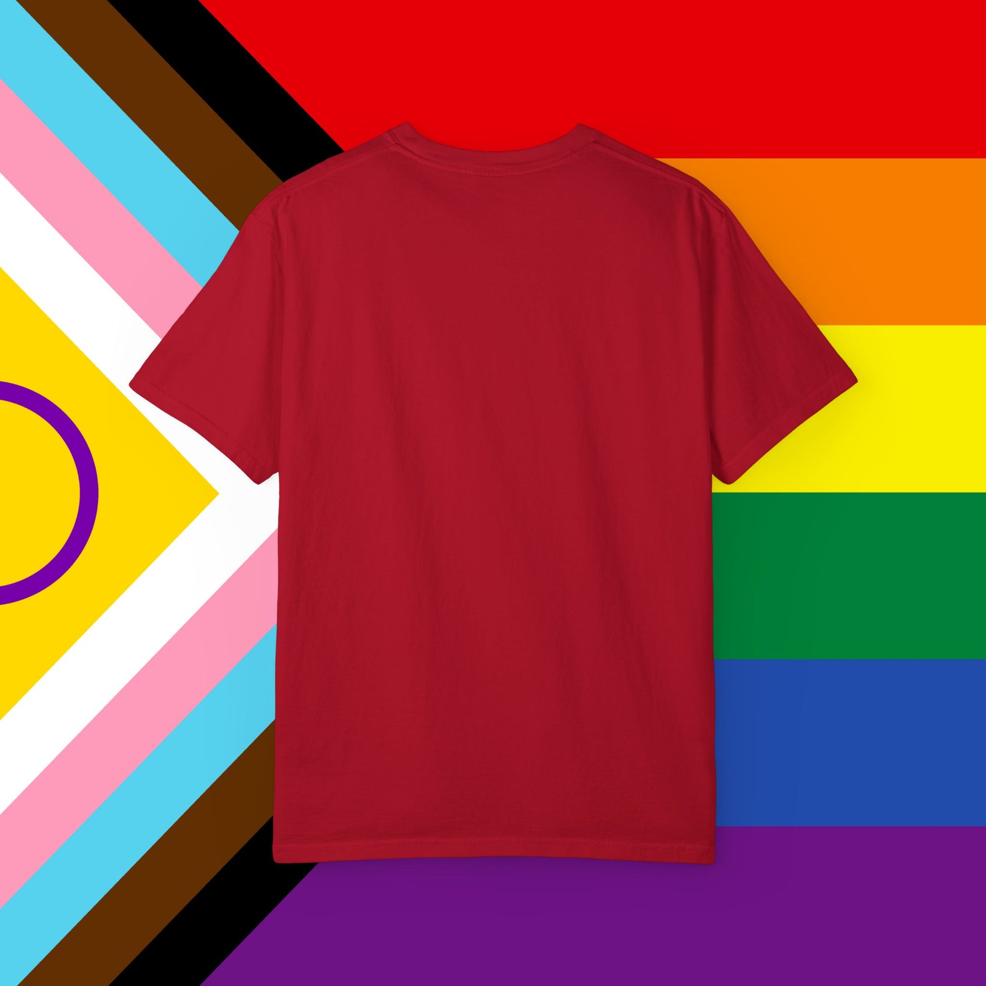 Thin Queer Line American Flag Garment-Dyed Tshirt