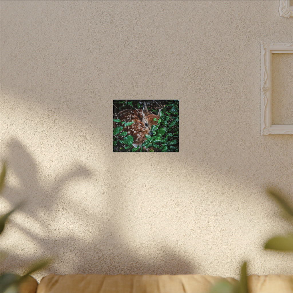 Sweet Dreams Faewood Fawn Stretched Canvas