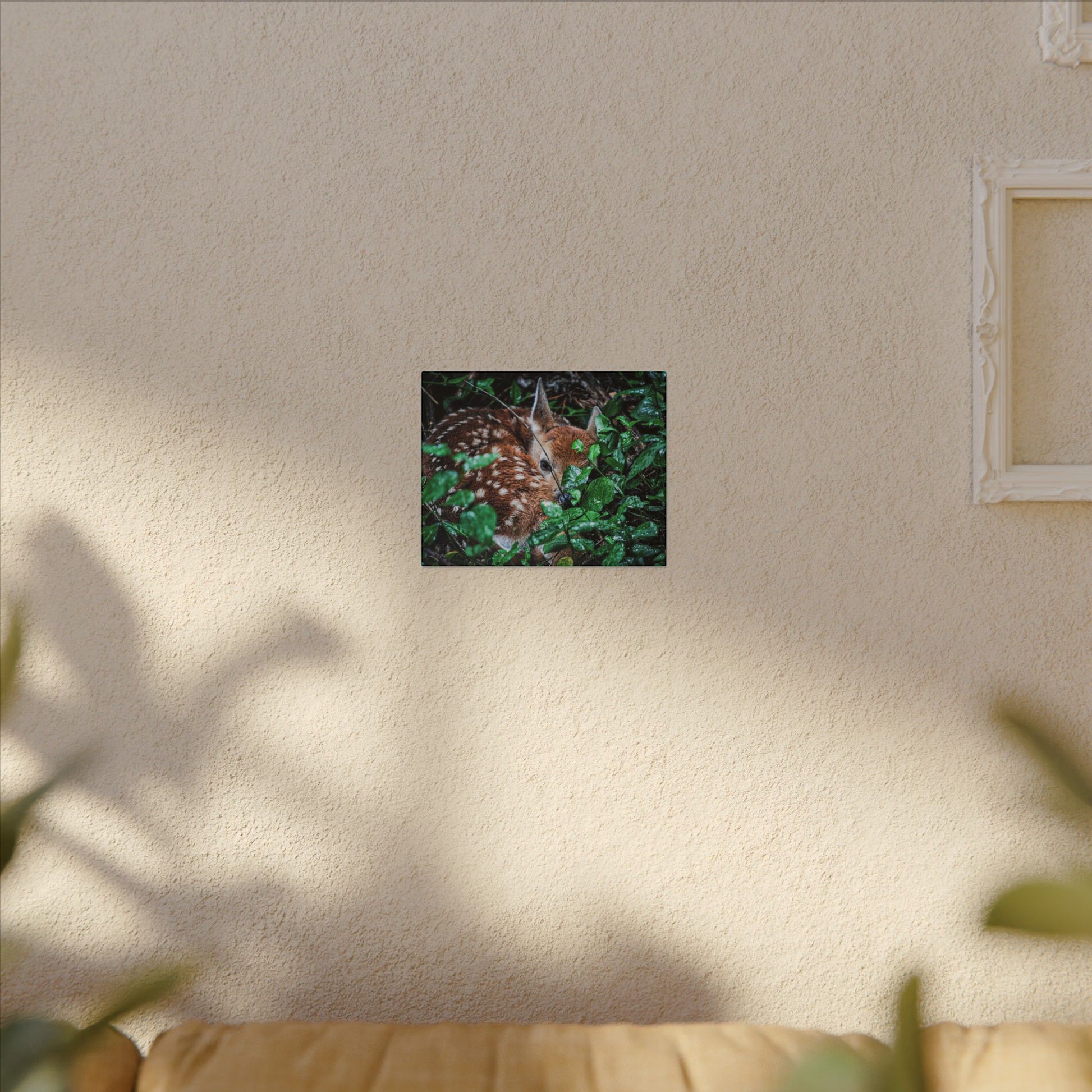 Sweet Dreams Faewood Fawn Stretched Canvas