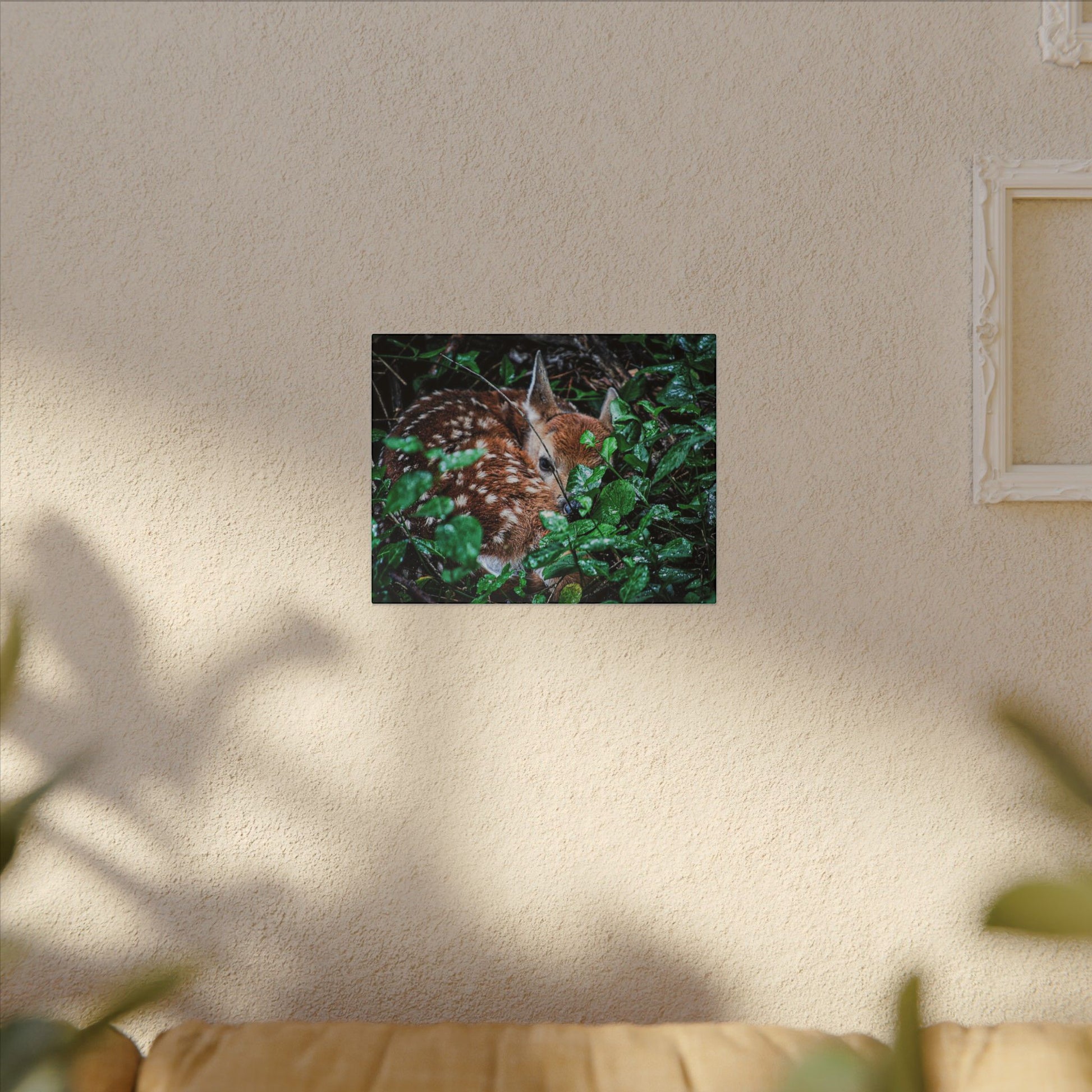 Sweet Dreams Faewood Fawn Stretched Canvas