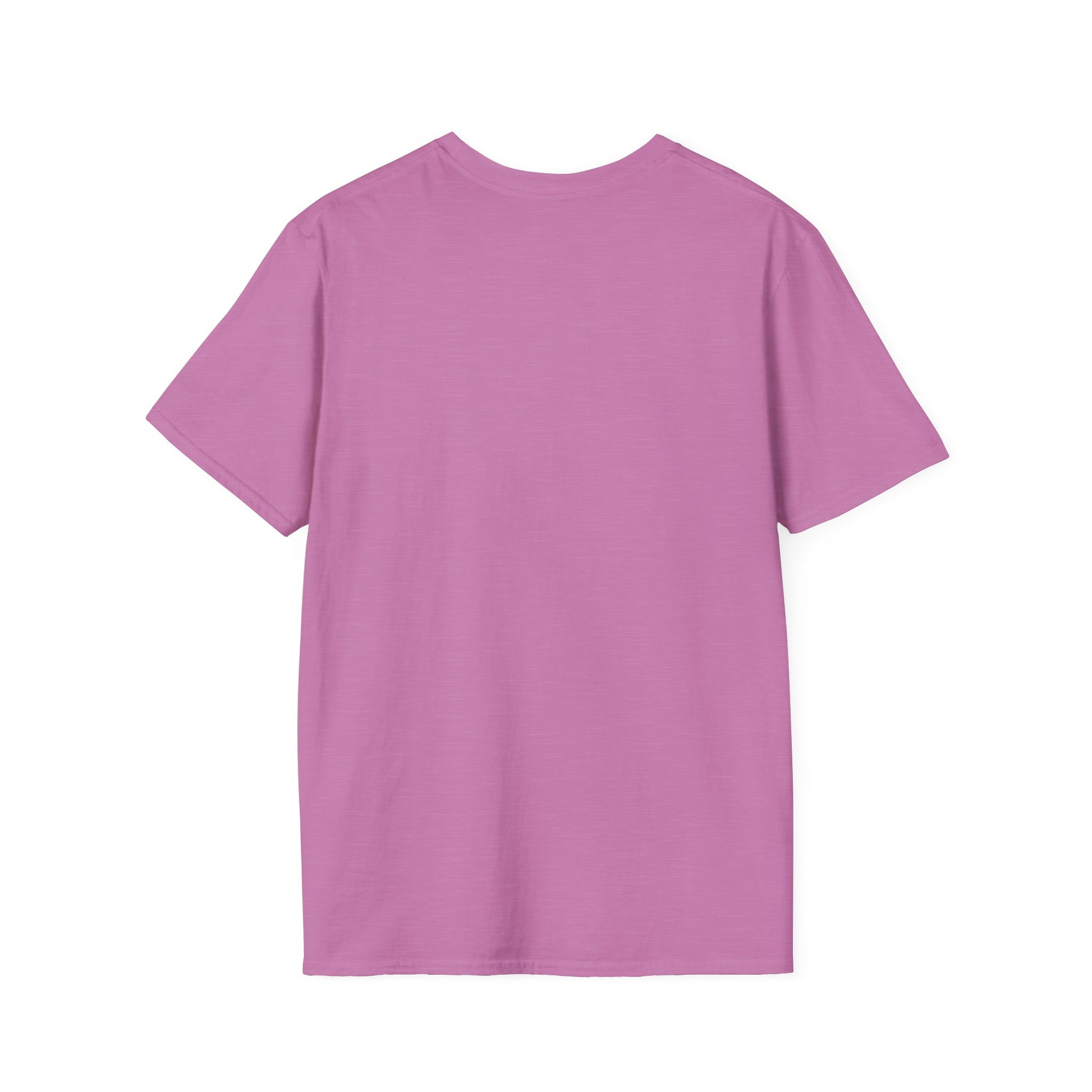 Because Briarwood  Softstyle T-Shirt