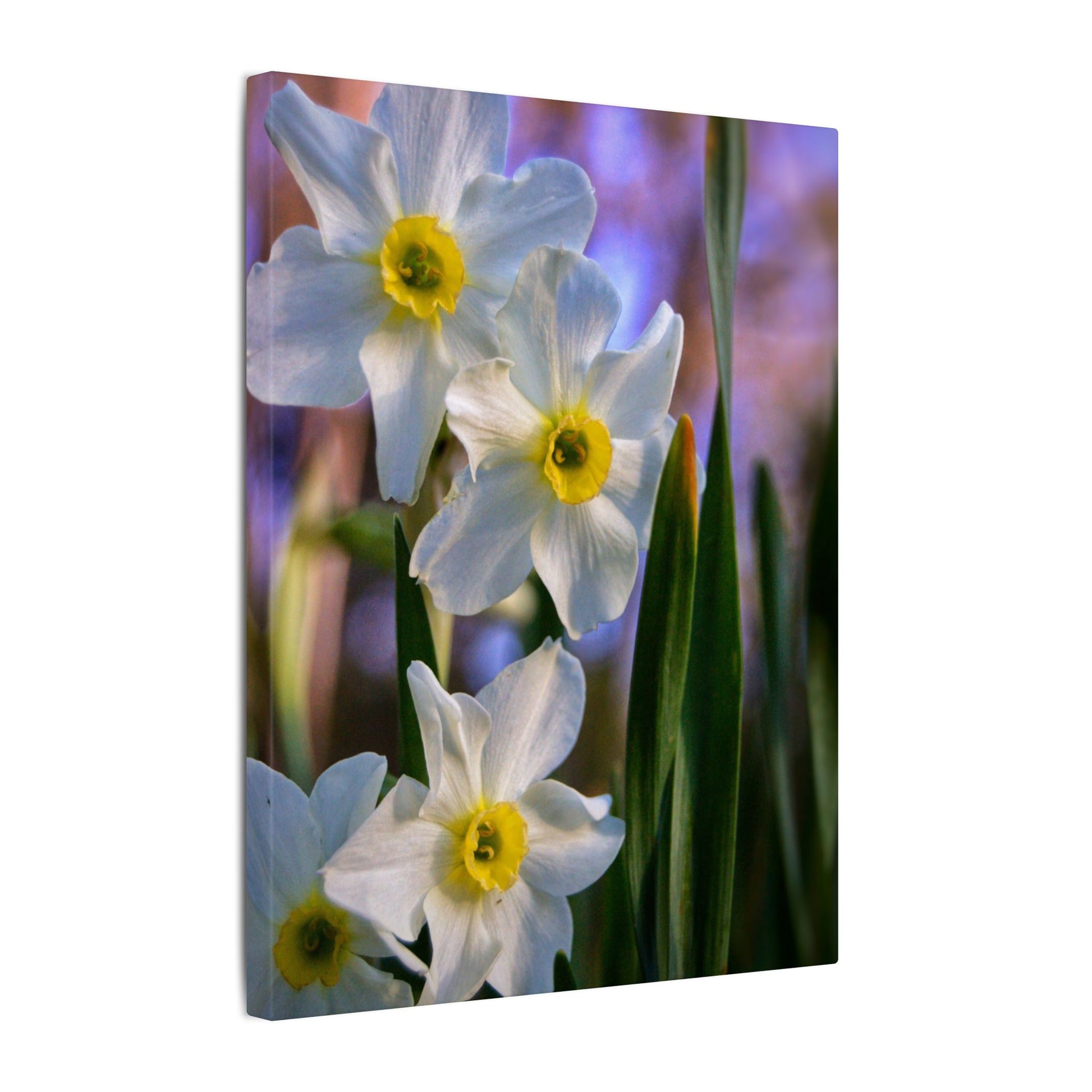 Daffodil Floral Canvas