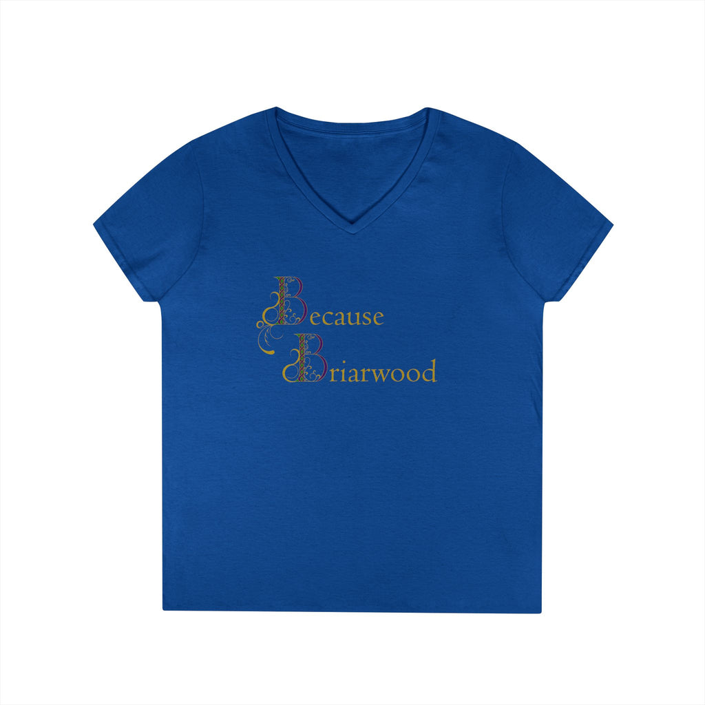 Because Briarwood Fem Cut V-Neck T-Shirt