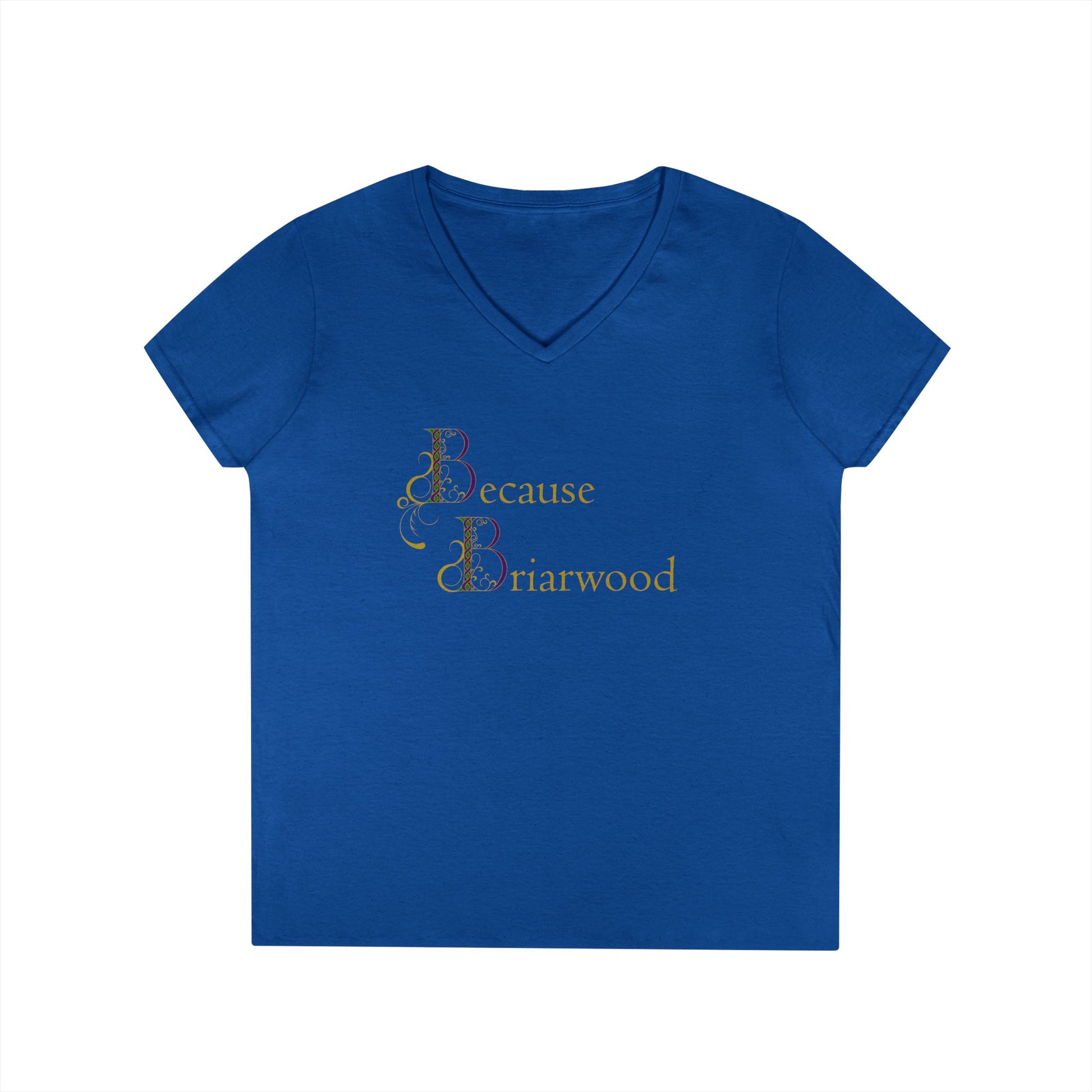 Because Briarwood Fem Cut V-Neck T-Shirt